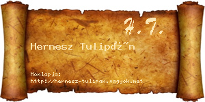 Hernesz Tulipán névjegykártya